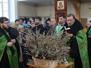 В амурских храмах людно освящают вербу перед Вербным воскресеньем