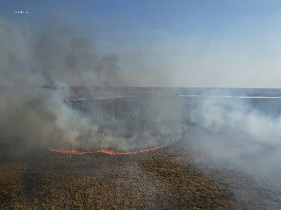 Еще на двух территориях Амурской области вводится противопожарный режим