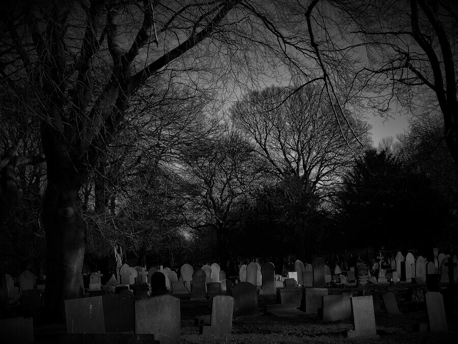 Благовещенец вывез ночью бывшую возлюбленную на кладбище избил и угрожал убить  