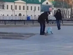 Полиция проверит видео с мужчиной водившим ребенка на поводке в центре города