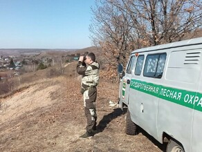 В Амурской области в лес нужен человек которого освободят от призыва и дадут 50 дней отпуска