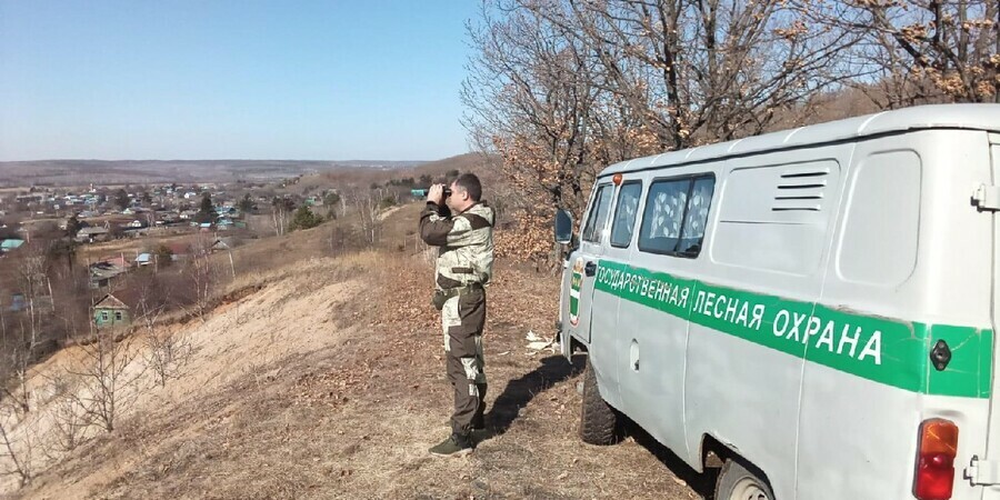 В Амурской области в лес нужен человек которого освободят от призыва и дадут 50 дней отпуска