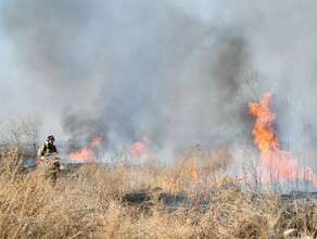 В селе Константиновка девочка подожгла сухую траву сама не знала зачем