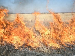 В Амурской области поджигателю сухой травы выписали штраф в размере 10 тысяч рублей 