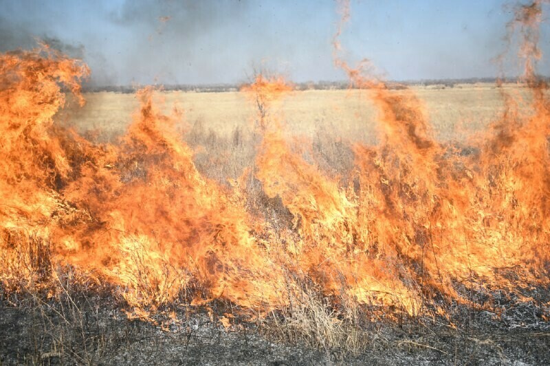 В Амурской области поджигателю сухой травы выписали штраф в размере 10 тысяч рублей 