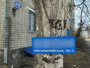 Известный интернетмагазин решил заявить о себе рекламой прибитой к деревьям