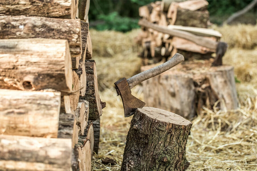 Черные лесорубы погубили деревья в Приамурье на сотни тысяч рублей имея разрешение на несколько сотен 