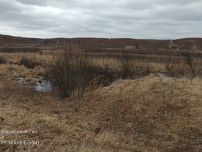 В Приамурье обнаружены следы глухого хутора начала XX века Исследователи ищут информацию о нем