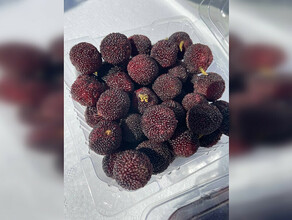 На прилавках в Приамурье появится янгмэй  новый экзотический фрукт из Китая