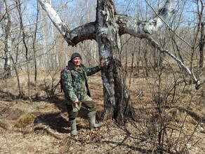 Природа умеет хранить тайны около села в Амурской области обнаружили дерево в виде креста