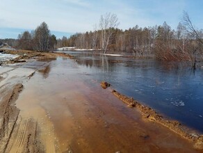 Большая вода в одном из районов Приамурья спасают дорогу от затопления фото 