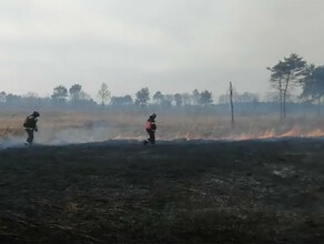 Только к утру потушили обширный природный пожар в Амурской области 