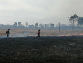 Только к утру потушили обширный природный пожар в Амурской области 