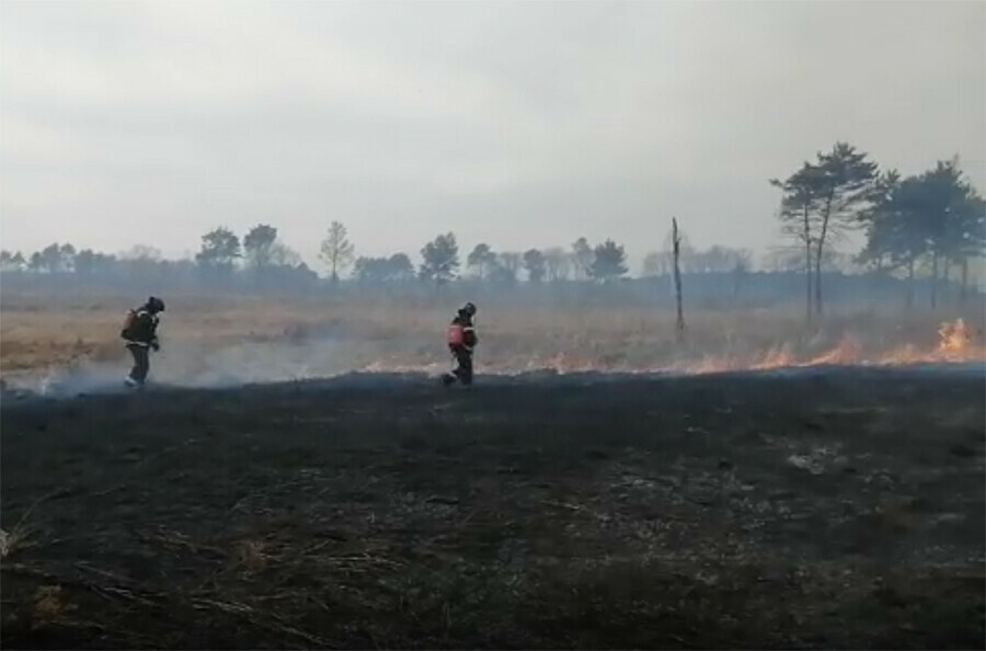 Только к утру потушили обширный природный пожар в Амурской области 