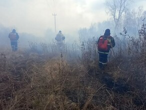 В Приамурье на севере загорелись болота и мари Вводится противопожарный режим в Сковородинском районе