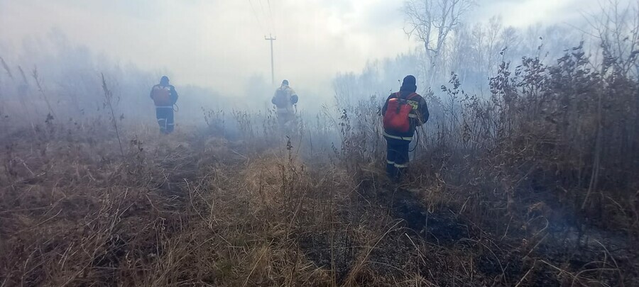 В Приамурье на севере загорелись болота и мари Вводится противопожарный режим в Сковородинском районе