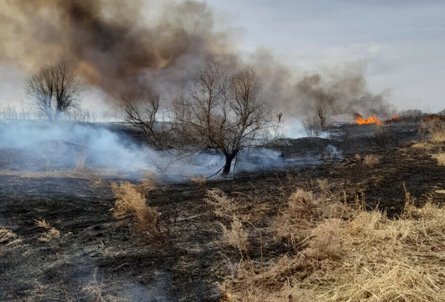 Особый противопожарный режим ввели на всей территории Амурской области