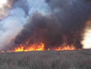 В Приамурье продолжают бушевать пожары 