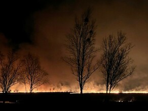 Эпичные кадры ночного пала в Благовещенском районе сделали амурчане 