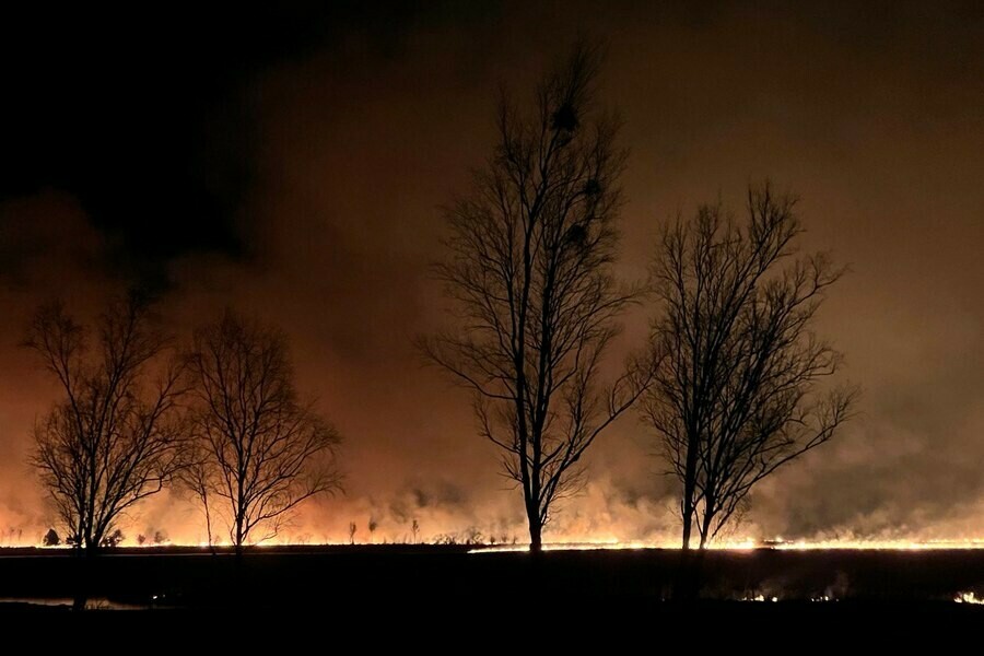 Эпичные кадры ночного пала в Благовещенском районе сделали амурчане 