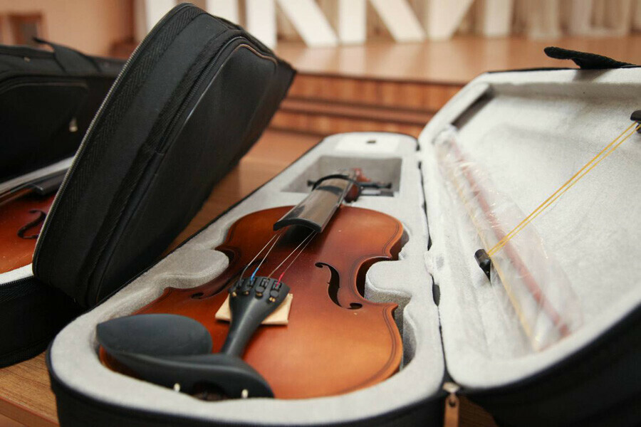 Шесть китайских скрипок передали таможенники колледжу искусств в Приморье