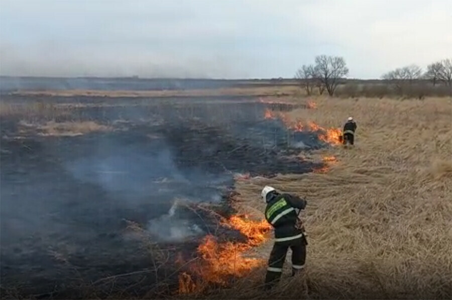 Режим ЧС введен в лесах на всей территории Приамурья