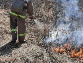 Сожгла мусор а огонь пошел по участкам амурчанка устроила пожар и заплатит солидный штраф 