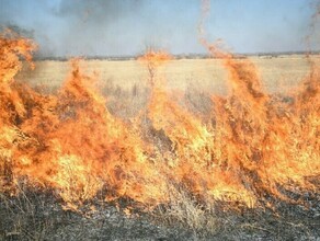 Ни один любитель шашлыка не пройдет власти Приамурья назвали районы куда отправят дополнительные силы для борьбы с пожарами 