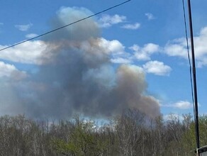 Жители Плодопитомника заметили дым фото видео