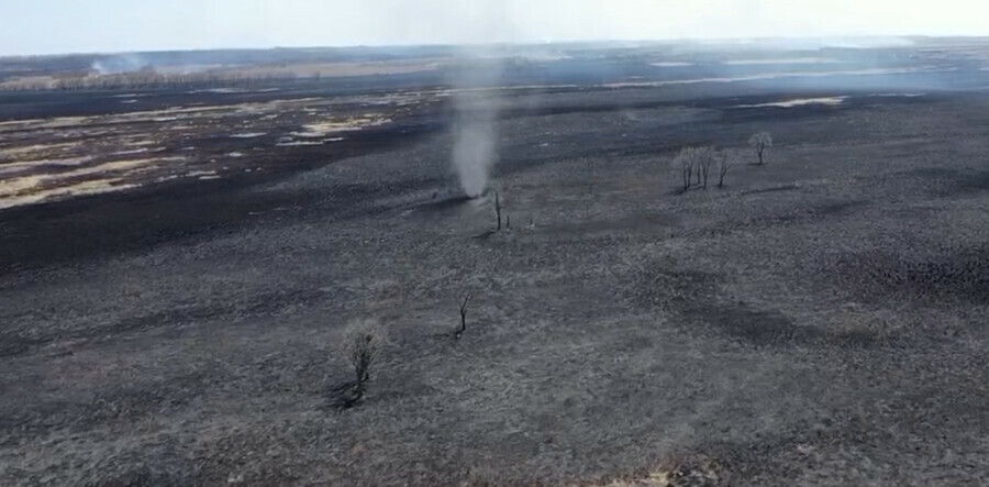 Смерчи разгоняют пепел Страшные кадры после пожара показал амурский орнитолог видео