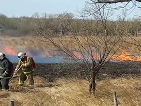 Десять природных пожаров потушено в Амурской области за сутки Сколько и где еще горит