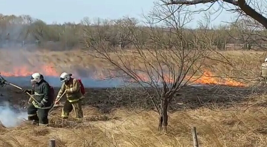 Десять природных пожаров потушено в Амурской области за сутки Сколько и где еще горит