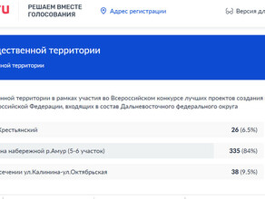 Нужно набрать 1 000 голосов благовещенцев призывают принять участие в голосовании чтобы получить средства на благоустройство пляжа у Амура