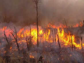 Приамурье продолжает гореть