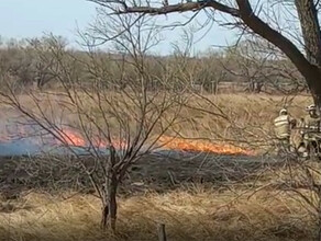 Амурчане продолжают устраивать палы огонь уходит в поля и леса грозит жилым домам