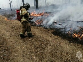 Поджигателей травы в Приамурье ждут серьезные штрафы 
