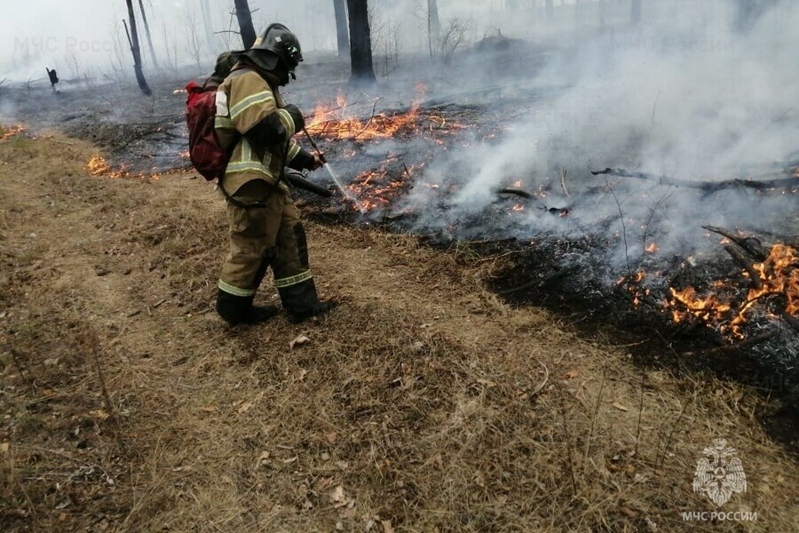 Поджигателей травы в Приамурье ждут серьезные штрафы 