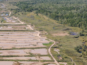 Золотодобытчики в Амурской области нанесли ущерб ручью более 36 миллиона рублей