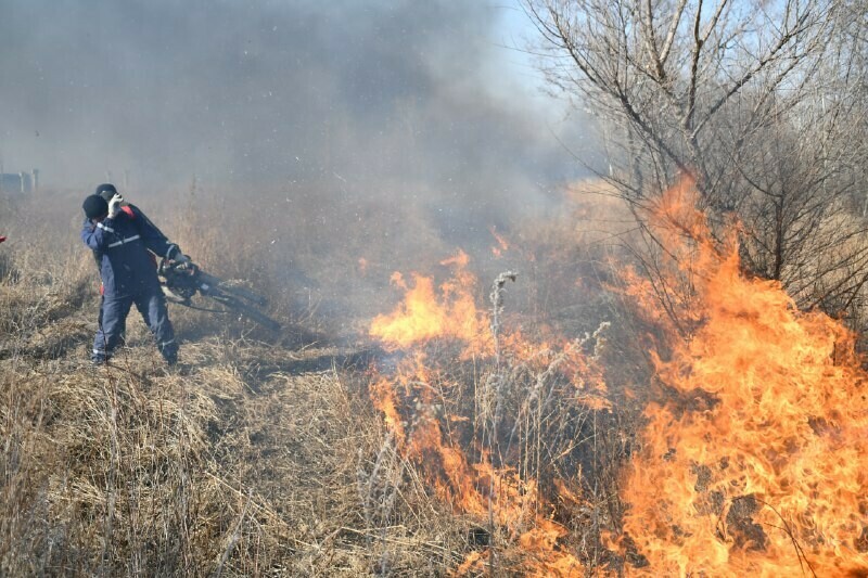 В Амурской области потушили все природные пожары Специалисты из других регионов уезжают домой