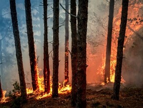 В Приамурье объявили штормовое предупреждение 