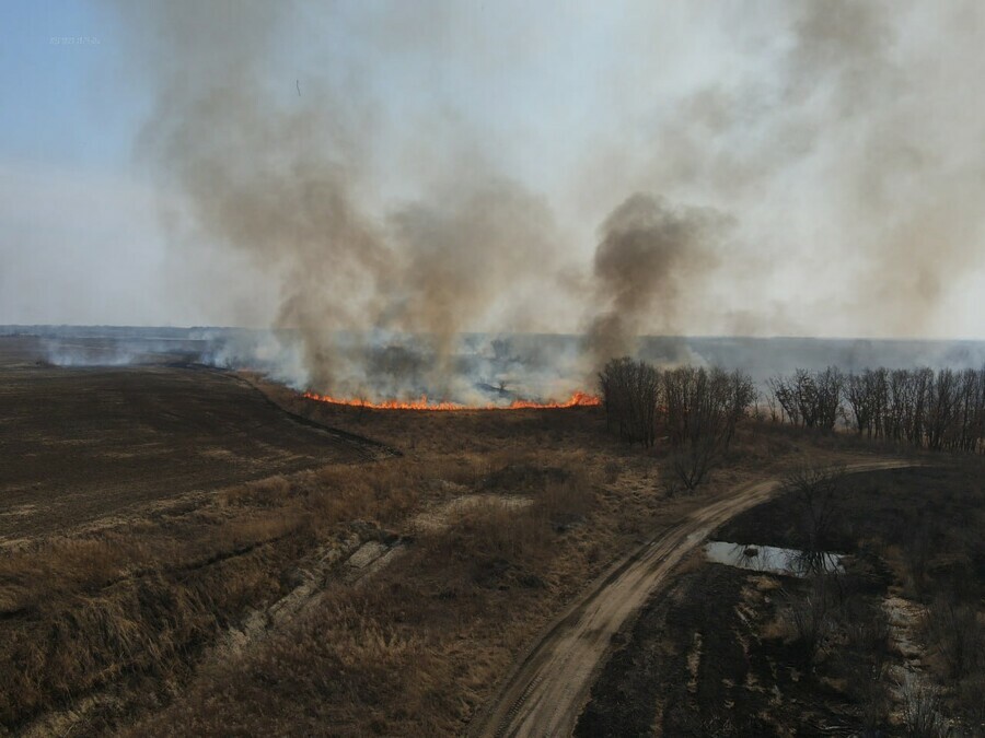 Целенаправленный поджог в Амурской области тушат шесть природных пожаров