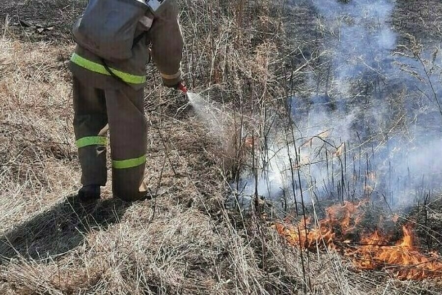 В амурских лесах продолжает бушевать огонь 