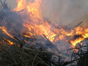 Штормовое предупреждение объявили в Приамурье