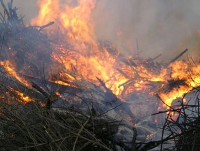 Штормовое предупреждение объявили в Приамурье