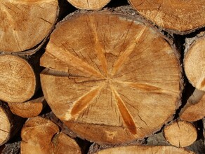 В Китае назвали объемы переработанной древесины вывезенной из Приамурья 