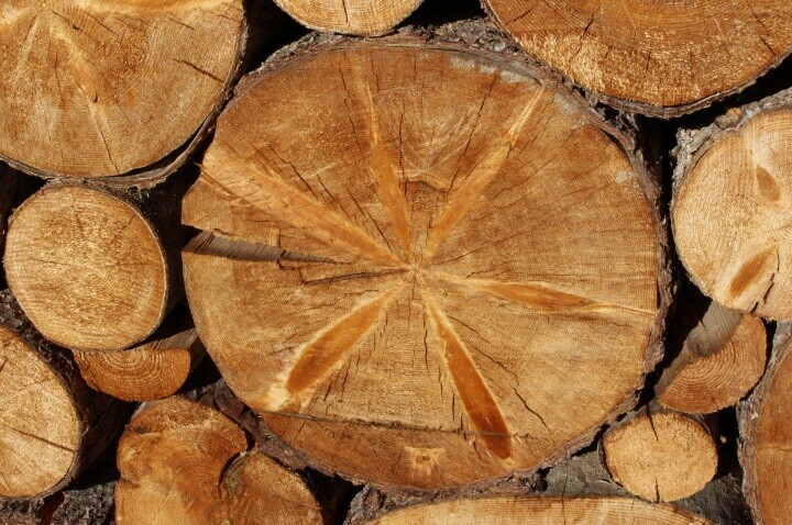В Китае назвали объемы переработанной древесины вывезенной из Приамурья 