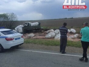 На амурской трассе столкнулись трактор и грузовой автомобиль