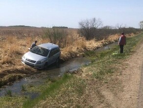 Водитель притормозила чтобы пропустить уток на трассе Благовещенск  Белогорск при необычных обстоятельствах с трассы слетел автомобиль