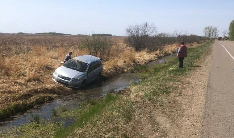 Водитель притормозила чтобы пропустить уток на трассе Благовещенск  Белогорск при необычных обстоятельствах с трассы слетел автомобиль