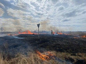 Амурчанка высыпала золу за калитку и чуть не сожгла АЗС 